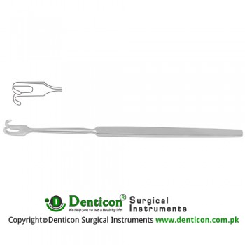 Wound Retractor 2 Blunt Prongs - Small Curve Stainless Steel, 16.5 cm - 6 1/2" Width 4.2 mm